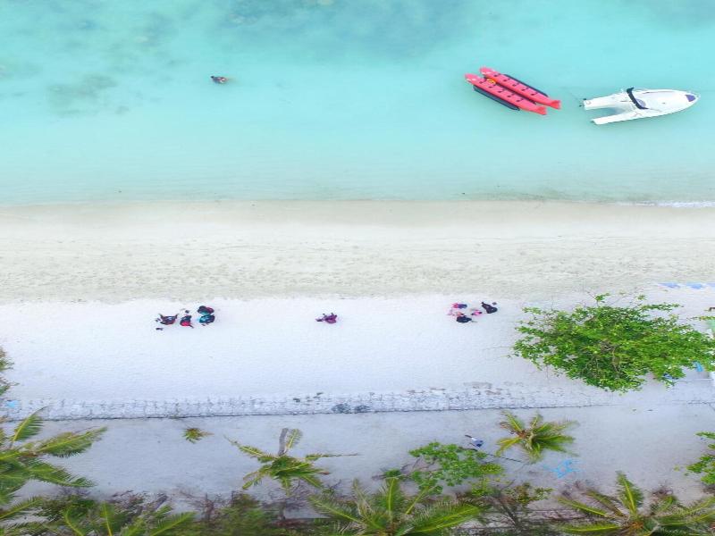 Planktons Beach image