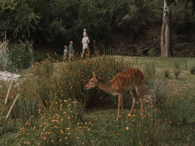 Wildehondekloof Private Game Reserve