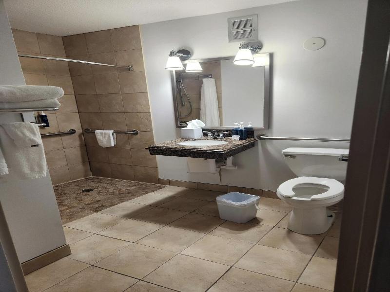 Four Points by Sheraton Kansas City Airport image