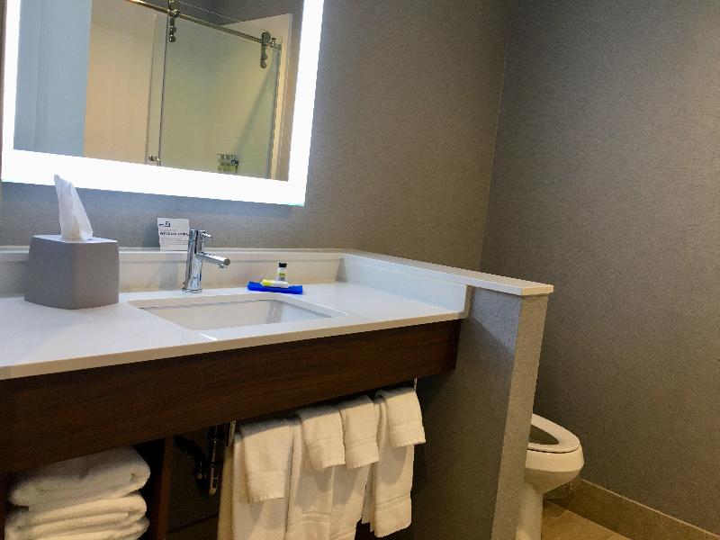 Holiday Inn Express Grand Island - Niagara Falls photo 20