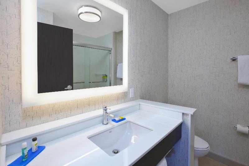 Holiday Inn Express Suites Auburn Hills South IHG photo 16