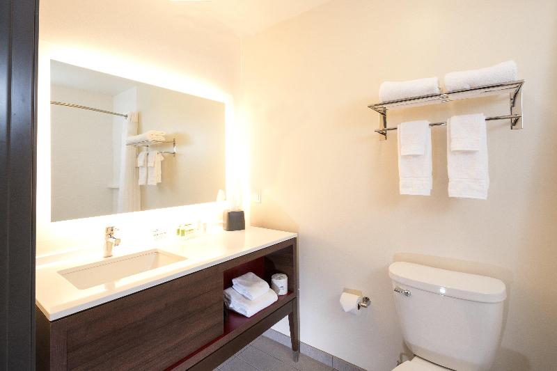 Holiday Inn & Suites Mount Pleasant By IHG photo 21