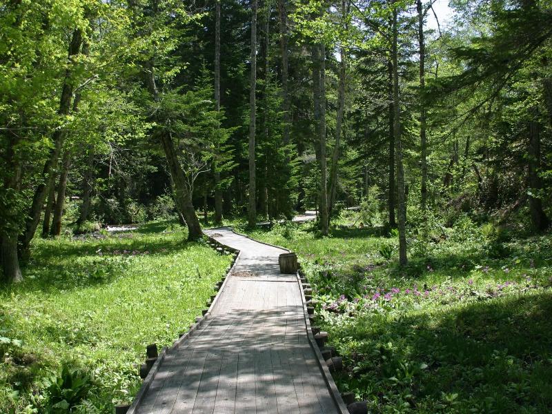 Lamp no Yado Moritsubetsu
