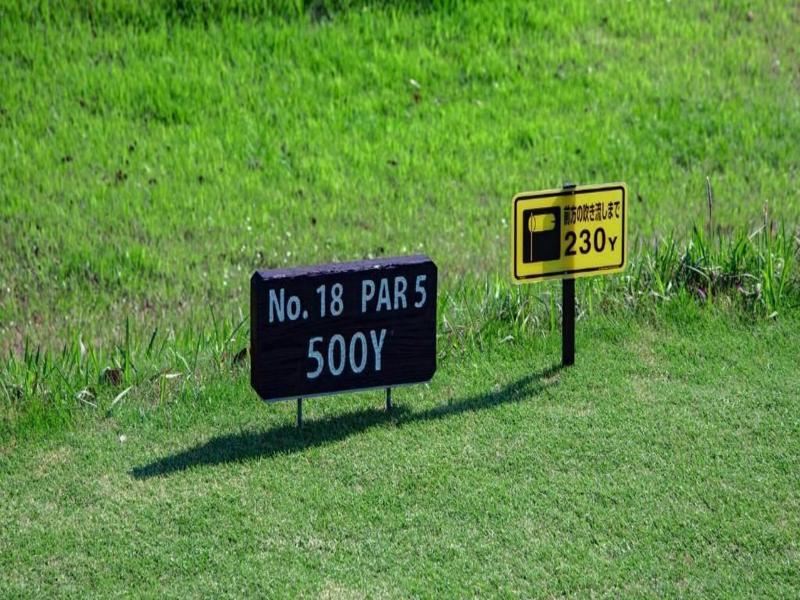 Kamogawa Country Club image