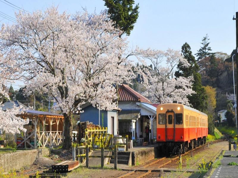 Ichihara Marine Hotel image