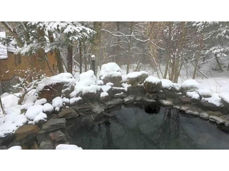 Nakanoyu Onsen Ryokan image
