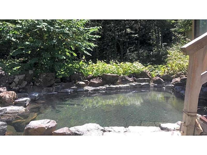 Nakanoyu Onsen Ryokan image