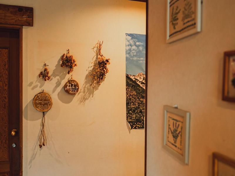 Hakuba Pension Meteor image