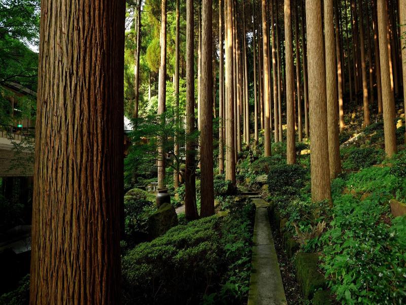 Kirishima Hotel image