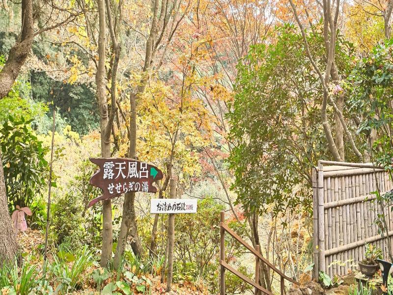 Hotel Seiryuso image