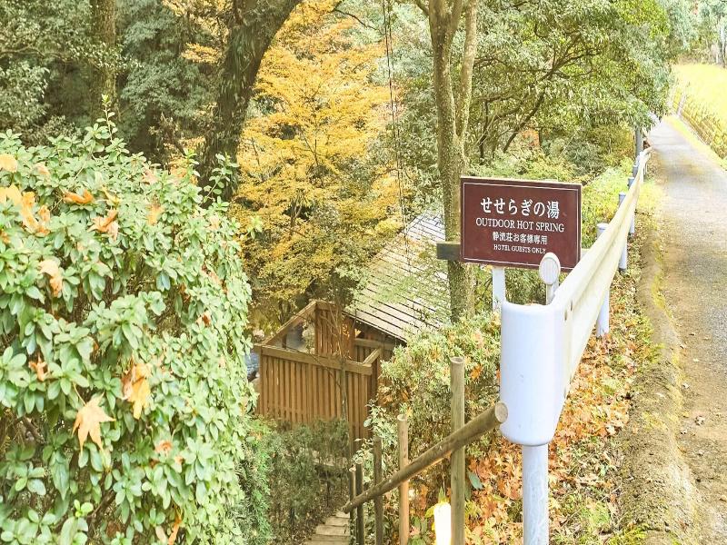 Hotel Seiryuso image