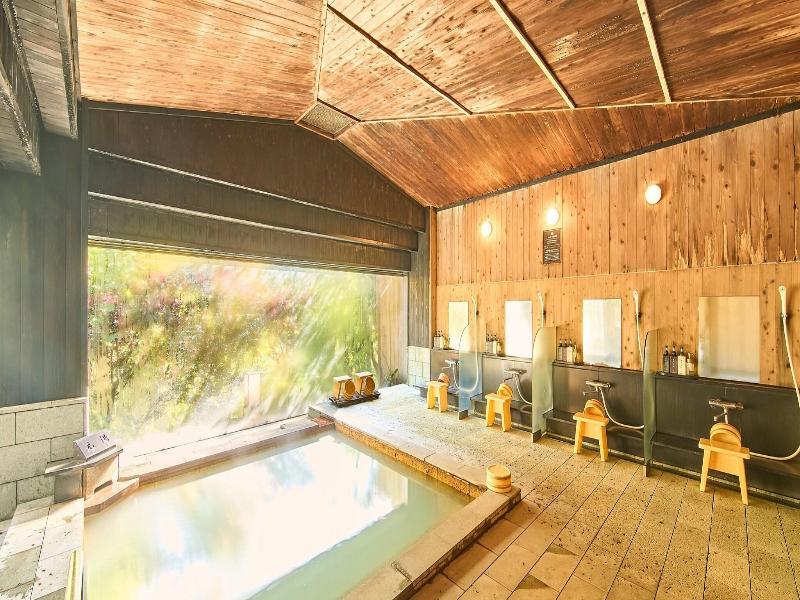 Hotel Seiryuso image