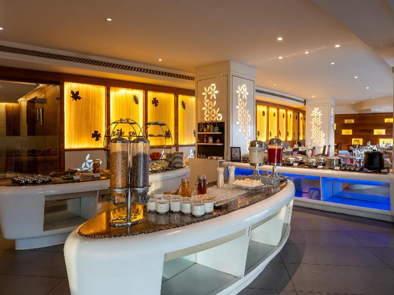 Radisson Udaipur image