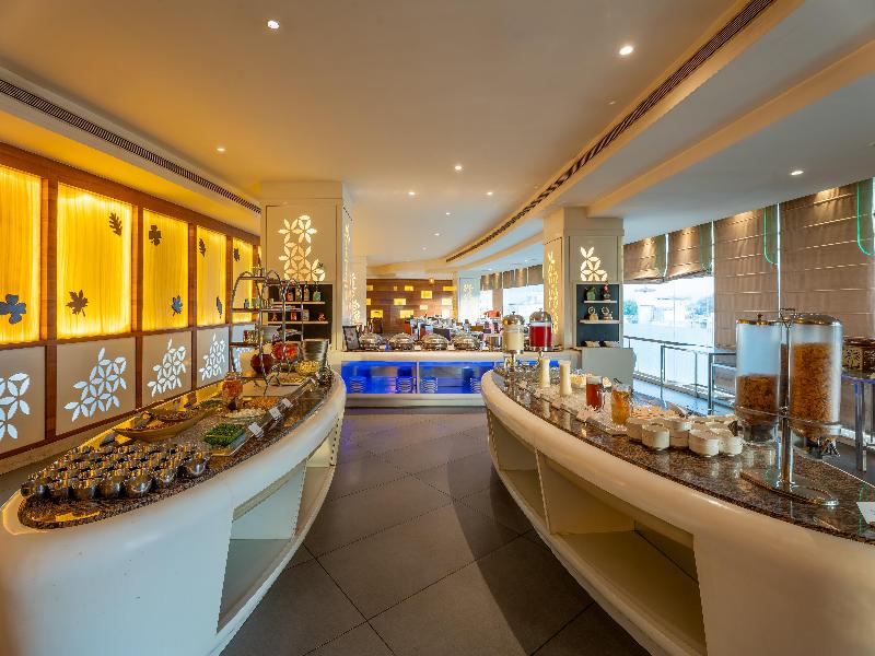Radisson Udaipur image