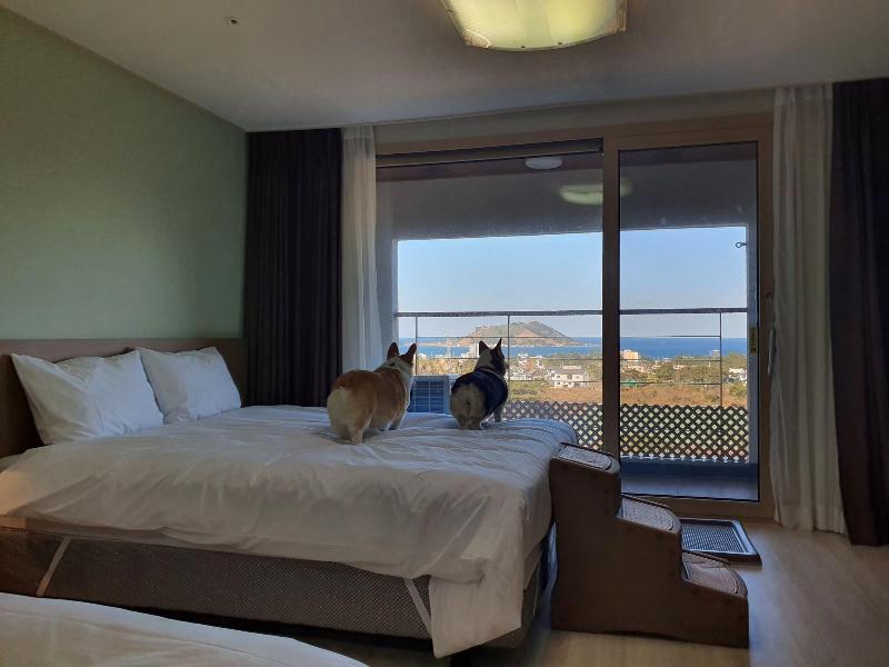 Hongik Jeju Hotel