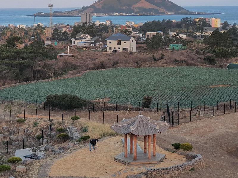 Hongik Jeju Hotel — photo 25