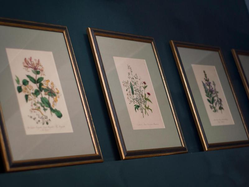 The Coleridge image