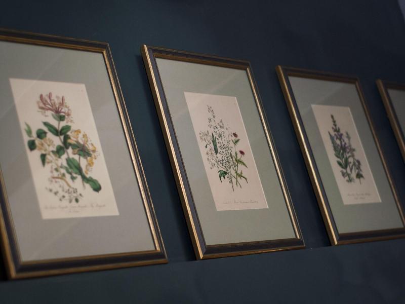 The Coleridge image