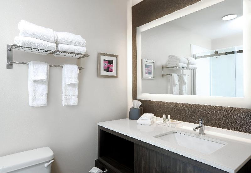 Holiday Inn & Suites Sioux Falls - Airport By IHG photo 16