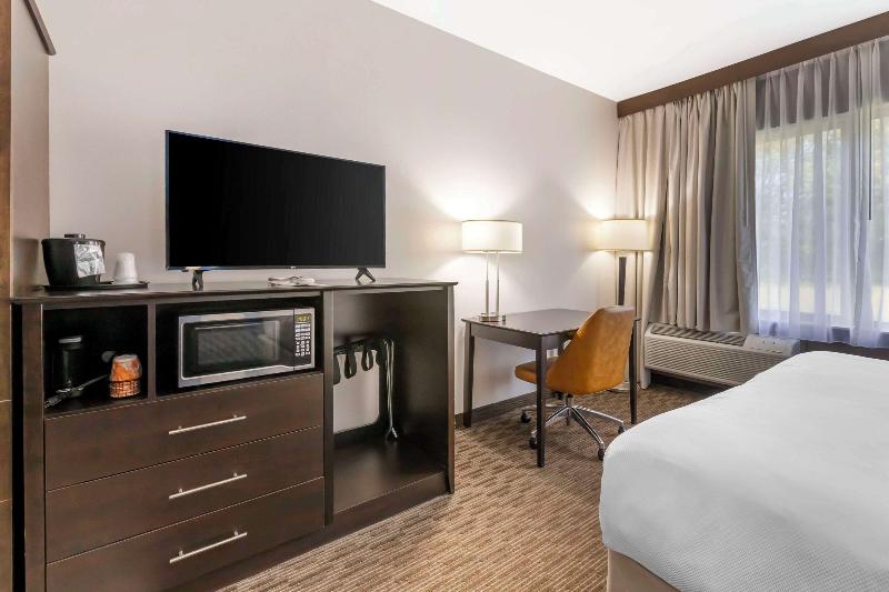 Comfort Inn Suites image