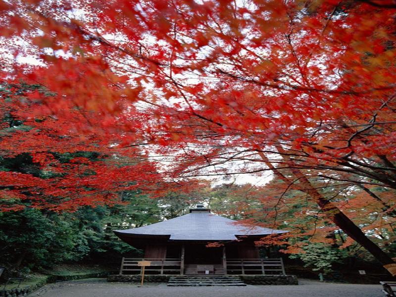 Shizukatei image