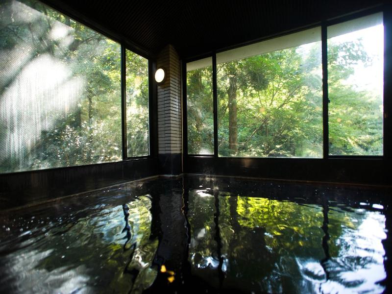 Motoyu Ishiya image