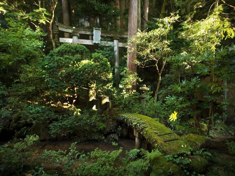 Motoyu Ishiya image