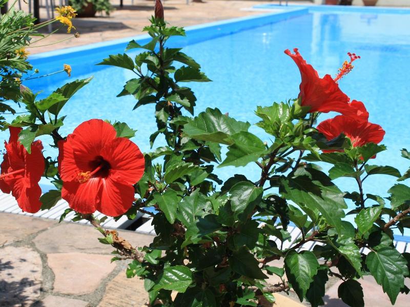 Seaside Hotel Geiboso image
