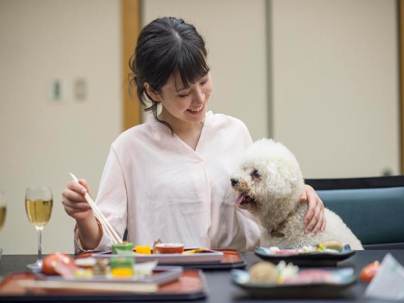 Matsusaka Wanwan Paradise