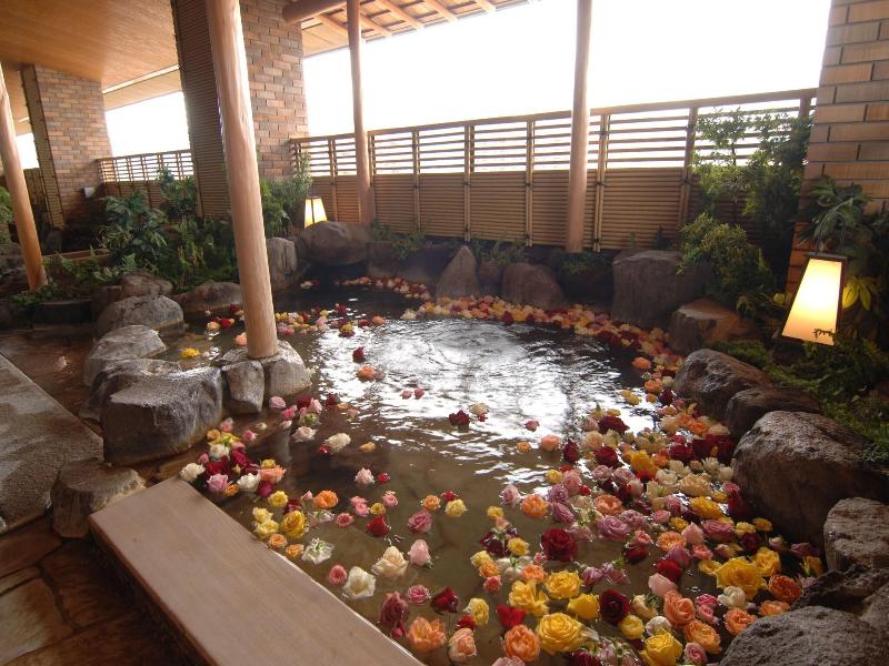 Hotel Wakamizu image