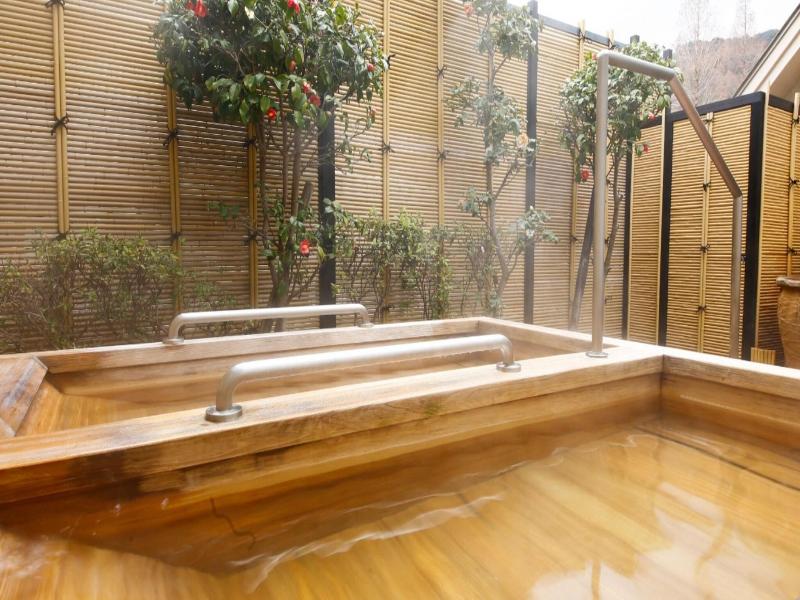 Arima Onsen Miyukiso Hanamusubi image