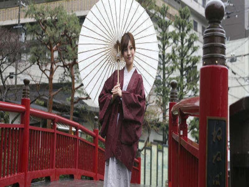 Arima Onsen Miyukiso Hanamusubi image