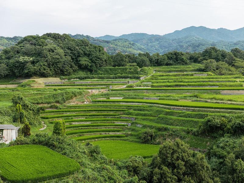 Kanponoyado Awajishima image