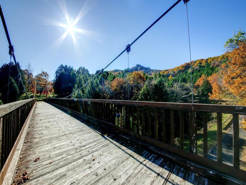 Forest Resort Conifer Iwabitsu image