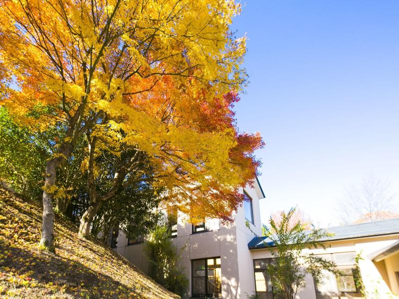 Forest Resort Conifer Iwabitsu image