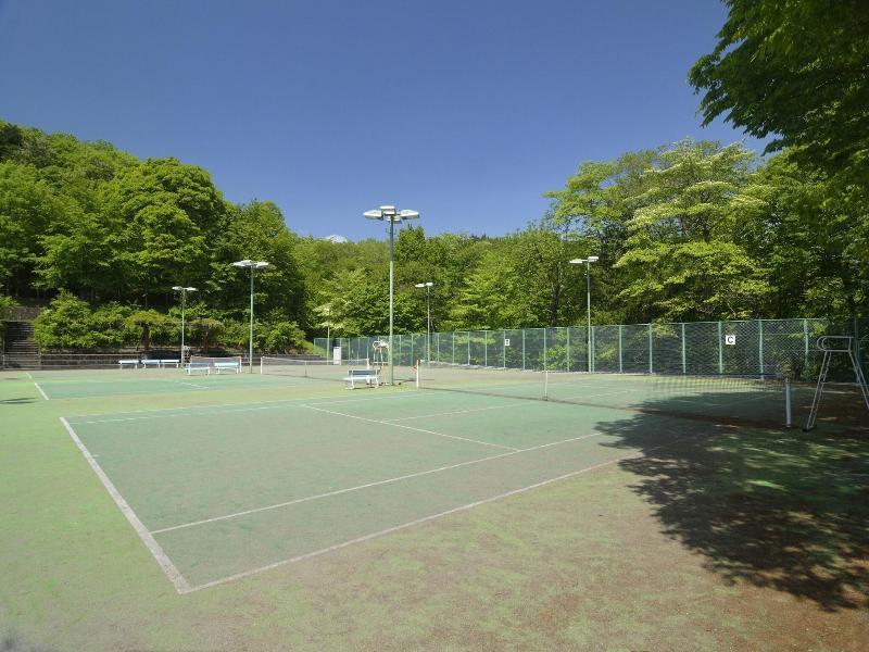 Forest Resort Conifer Iwabitsu image