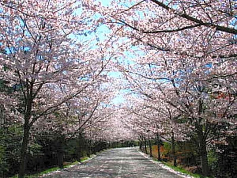 Kotobukirou image