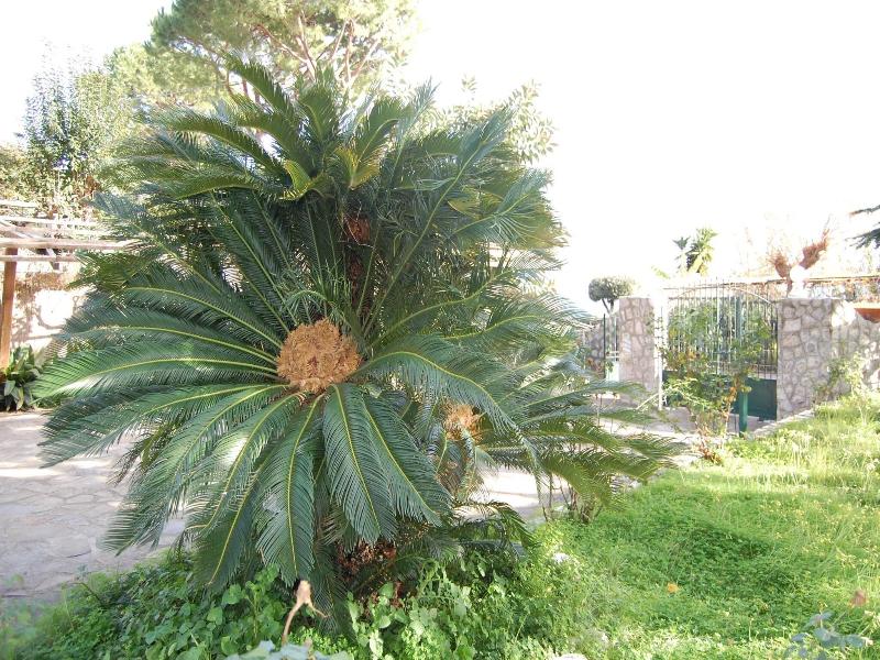 Marina del Cantone Chalet image