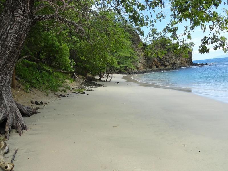 Hotel Colono Beach image
