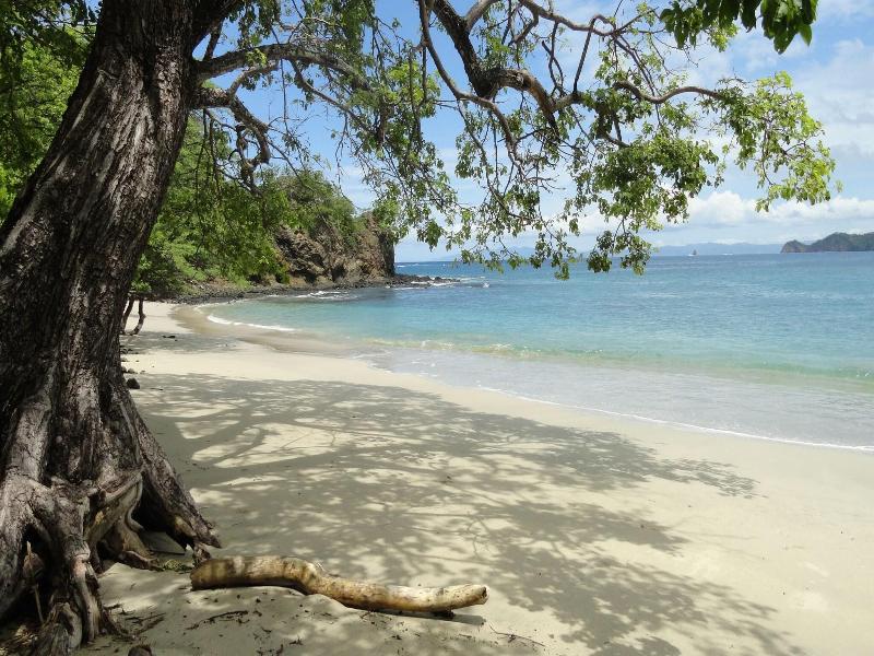 Hotel Colono Beach image