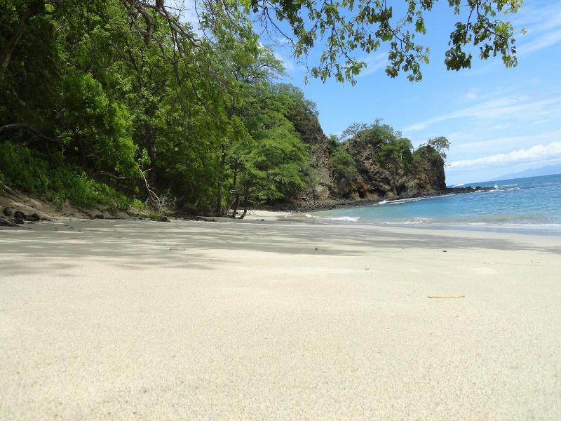 Hotel Colono Beach image