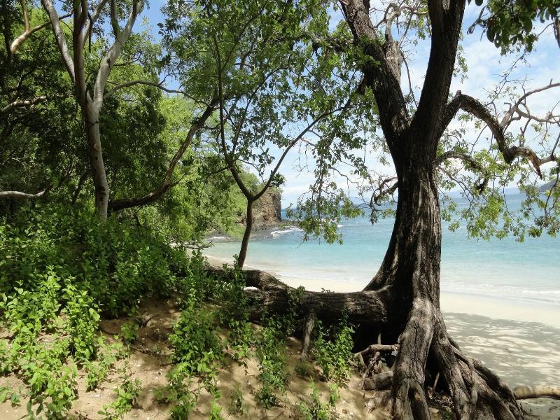 Hotel Colono Beach image