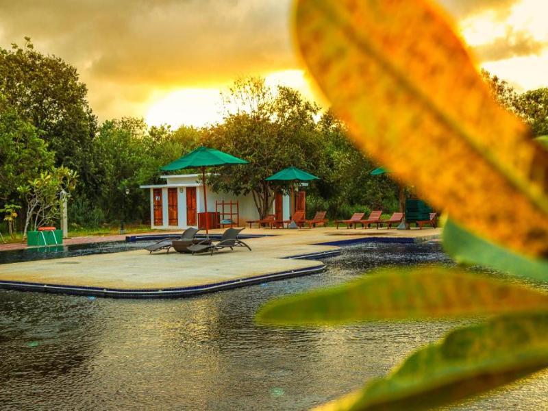 Oak Ray Oak Ray Elephant Lake - Sigiriya image