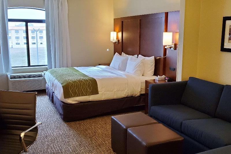 Comfort Inn & Suites Decatur Forsyth