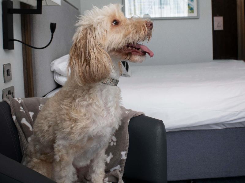 Mercure Bridgwater Hotel image