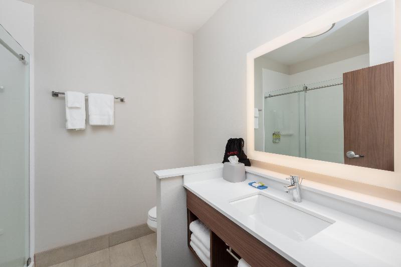 Holiday Inn Express & Suites St. Louis an IHG hote photo 20