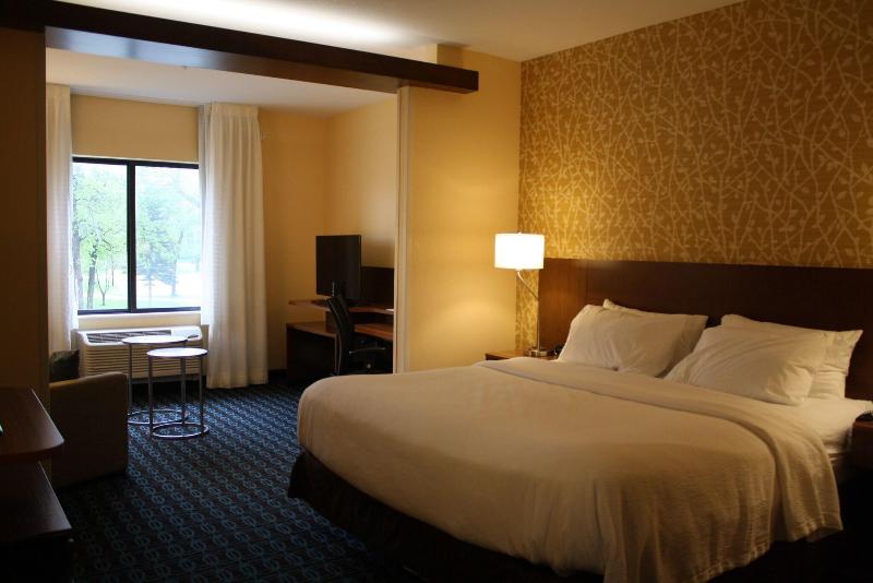 Fairfield Inn & Suites Detroit Lakes image