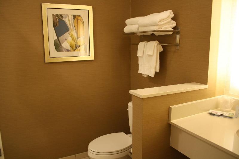 Fairfield Inn & Suites Detroit Lakes image