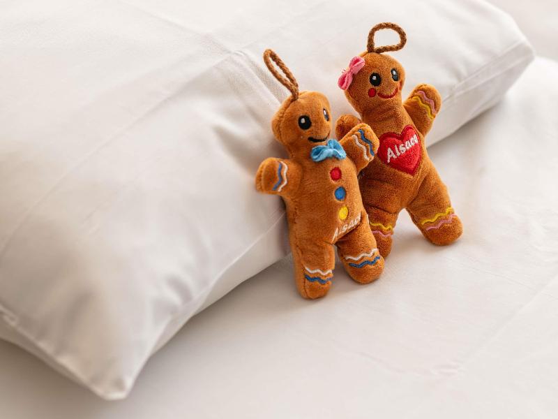 Novotel Suites Colmar Centre image