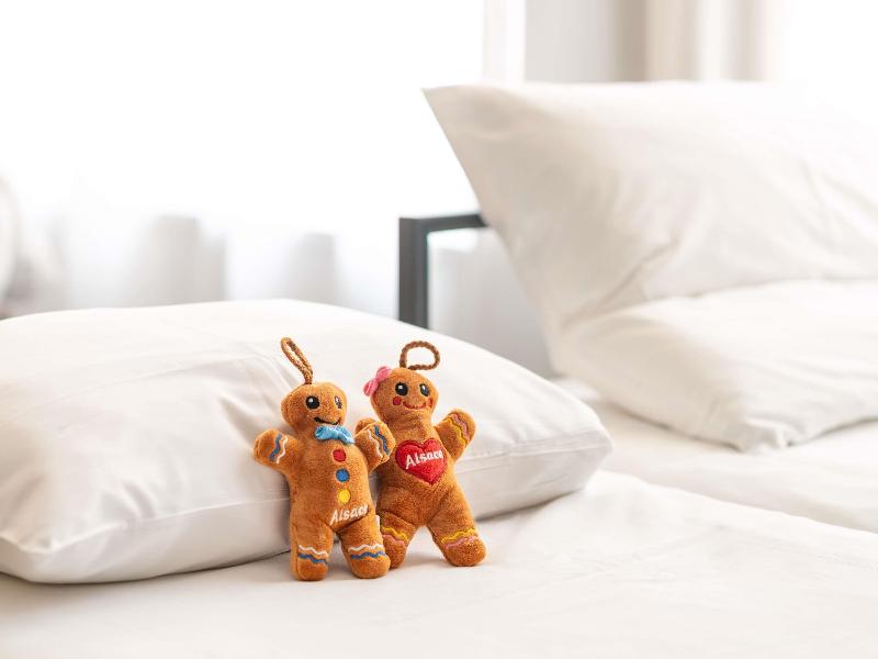 Novotel Suites Colmar Centre image